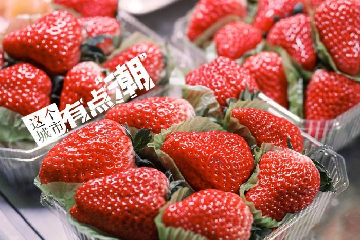 丹東：這一口鮮甜，開啟冬日“莓”好時光