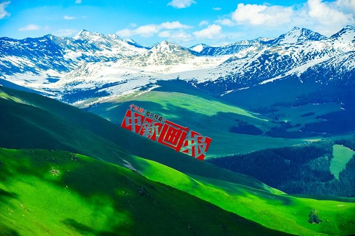 將夏天的“綠” 裝進(jìn)屏幕里，一組護(hù)眼壁紙請(qǐng)查收！