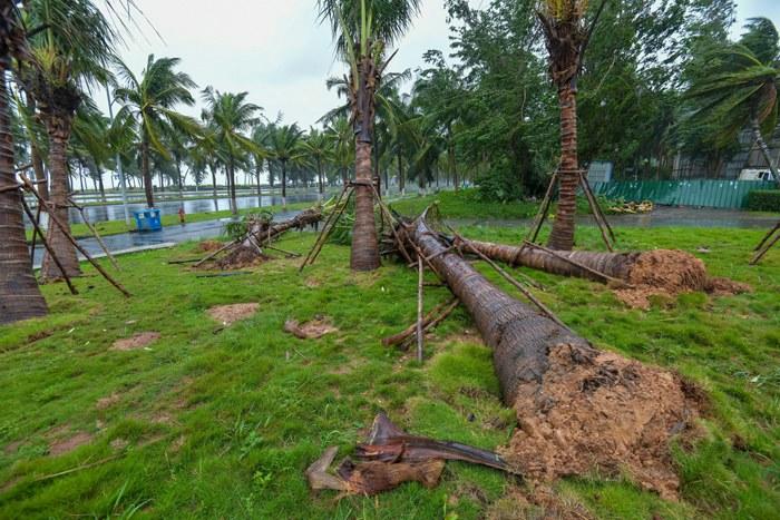 強臺風“麥德姆”攜強風雨影響?？?>
     <p>強臺風“麥德姆”攜強風雨影響?？?/p>
</a><a href=