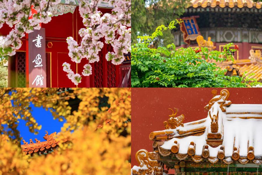 百歲快樂！一組圖領(lǐng)略故宮四季流轉(zhuǎn)之美