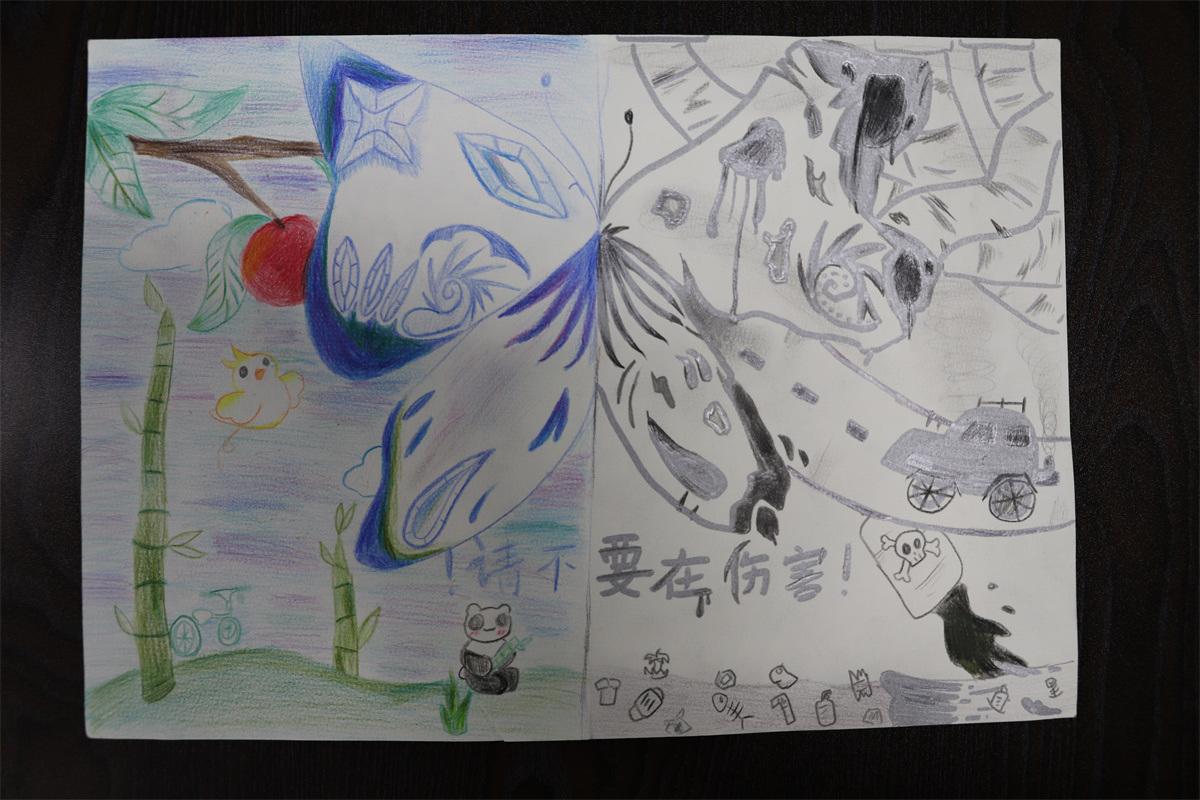 《請不要再傷害！》孫妙然 11歲