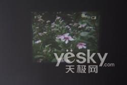 D錦(du)ǰ҈D錦(du)