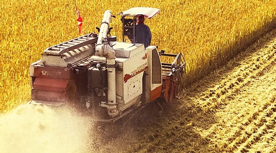 “察實(shí)情、辦實(shí)事、求實(shí)效”，這十句話，振奮人心！