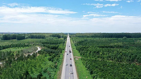 只此青綠，中國“雙碳”雄心背后的山河夢(mèng) 