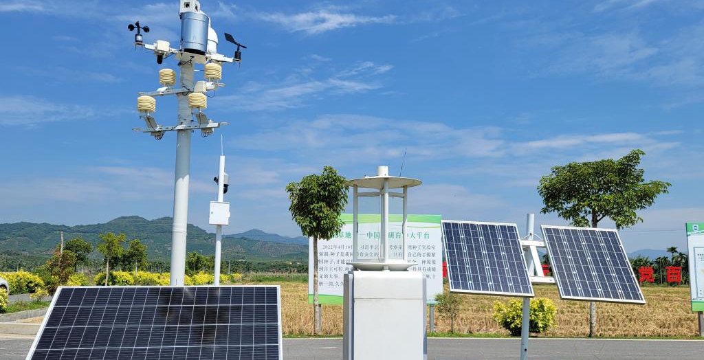 探訪在種業(yè)科研和創(chuàng)業(yè)熱土中成長的三亞“南繁硅谷”<p>晚秋的三亞，午間陽光依然炙熱。在崖州區(qū)壩頭南繁基地，由太陽能電池板提供能源，生態(tài)監(jiān)測系統(tǒng)、物聯(lián)網蟲情信息采集系統(tǒng)不間斷工作。<p>