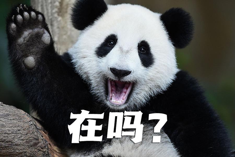【世界微笑日特刊】嘿嘿，今天你笑了嗎？